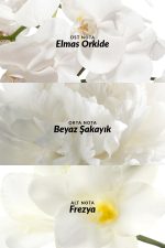 عطر زنانه اون اینکاندسنس (Eau de Parfum) - ۵۰ میلی‌لیتر (اورجینال + هدیه ویژه)