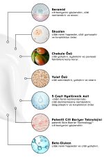 Cream Co. Moisturizer | Su Bazlı Nemlendirici Yüz Kremi Yatıştırıcı Bariyer Onarıcı | Tüm Cilt Tipleri
